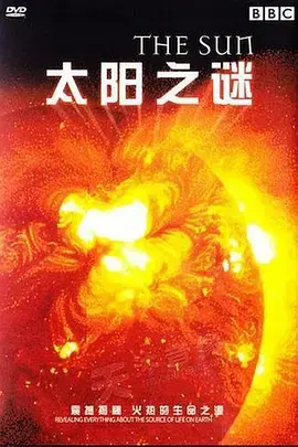 揭秘《太阳之谜》：一段关于爱与救赎的星光旅程，找寻内心深处的希望之光！