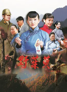 《野茱萸》影评：被遗忘的角落，绽放的生命力，触动灵魂的真实故事