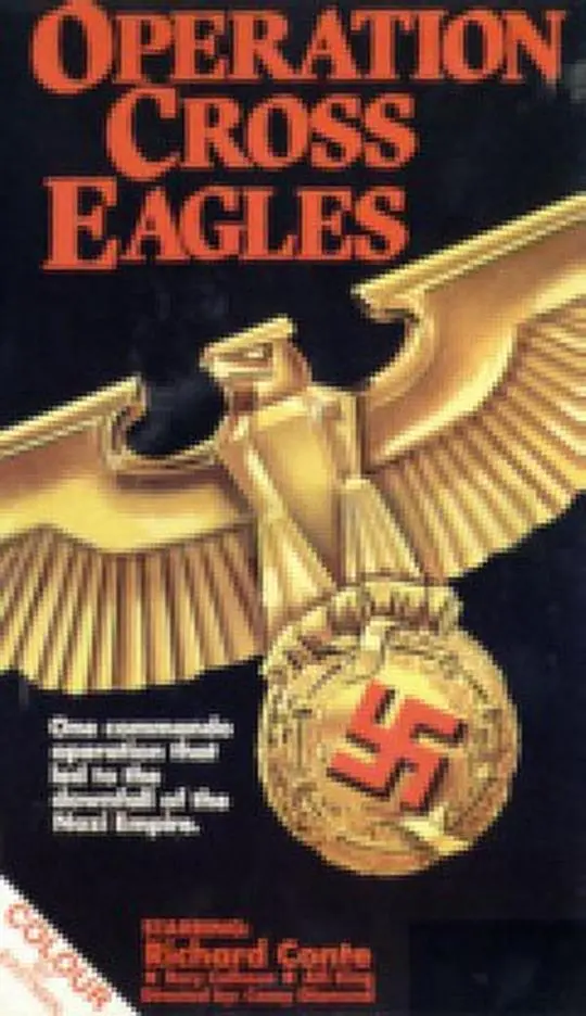 《十字鹰行动》：一场惊心动魄的暗影追逐，看特工如何扭转乾坤！